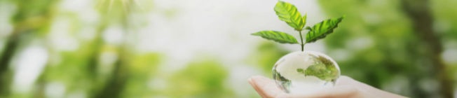 asesores legales medioambientales Asesoramiento legal medioambiental