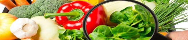 inocuidad alimentaria inocuidad alimentaria
