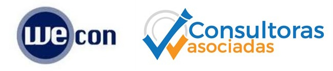 consultora Paraguay consultor Paraguay