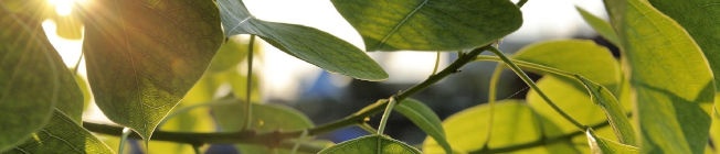 Declaración ambiental de producto Declaración ambiental de producto