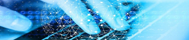 Digitalización de Empresas Digitalización de Empresas