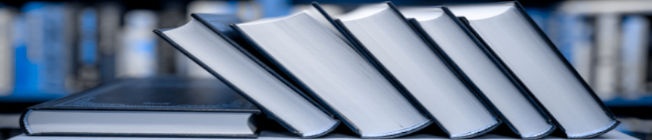Guías Informativas Guías Informativas