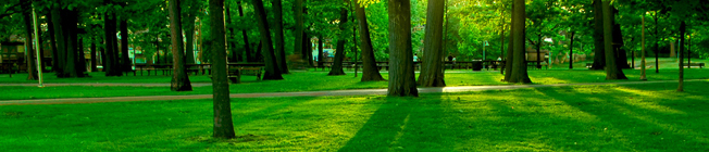 Medio Ambiente Medio Ambiente