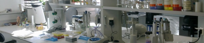 Implantar un Sistema de Gestión de la Calidad bajo la Norma ISO 17025_ACMS Consultores Norma ISO 17025