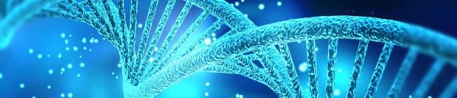 Norma ISO 20387 Norma ISO 20387:2018 Requisitos Generales Biobancos