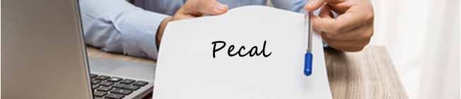 Presupuesto PECAL Presupuesto PECAL